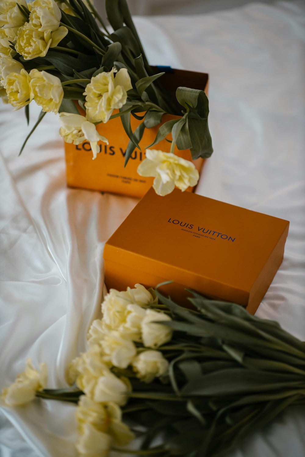 Shop Louis Vuitton