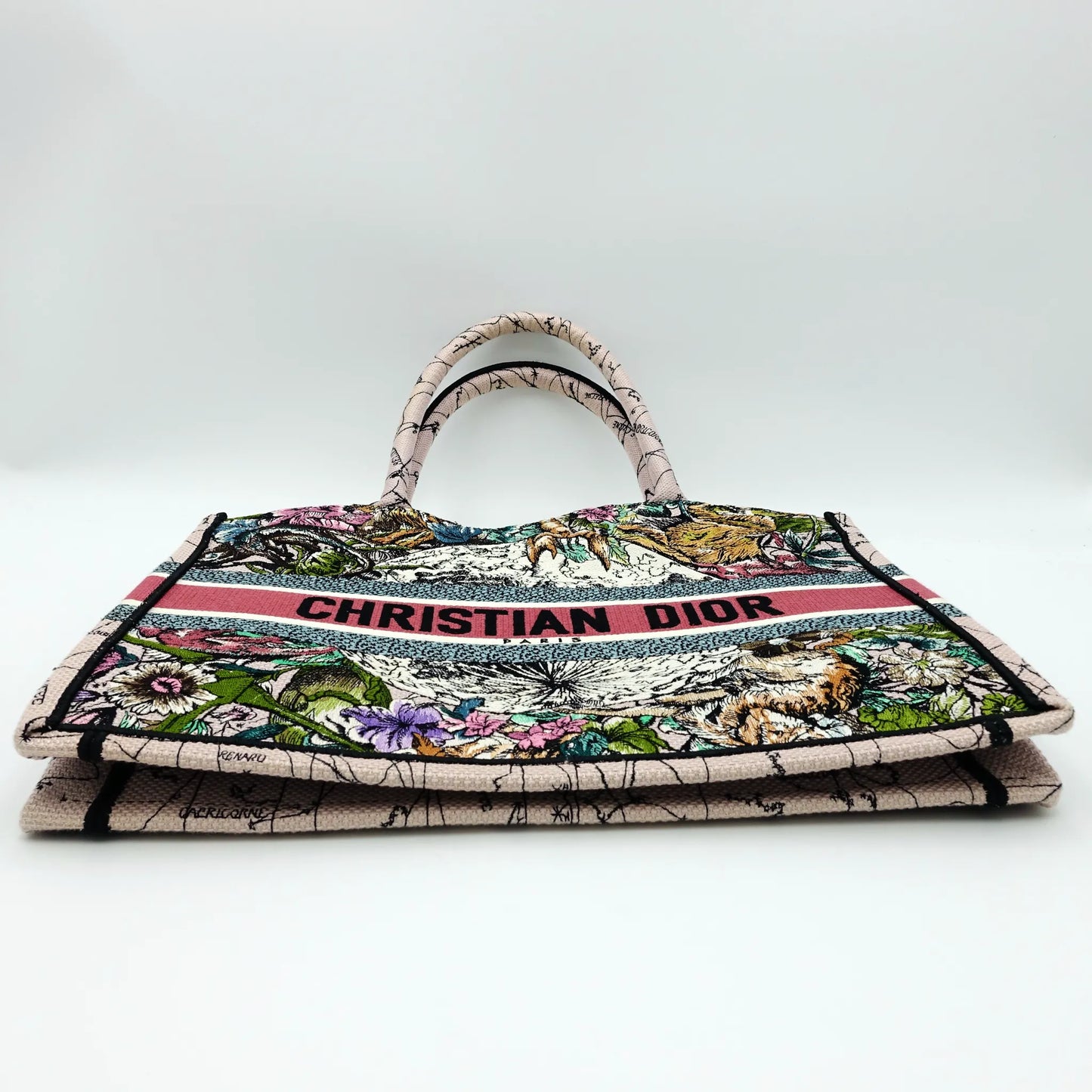 Dior Large Book Tote – Jardin d’Hiver Embroidery